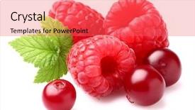  Presentation with cranberry juice - Audience pleasing PPT layouts consisting of raspberry with cranberry backdrop and a red colored foreground