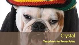  Presentation with rasta - Audience pleasing slide deck consisting of rasta - funny dog with dreadlocks backdrop and a tawny brown colored foreground