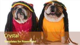  Presentation with rasta - Beautiful slides featuring rasta - two english bulldogs with dreadlocks backdrop and a red colored foreground