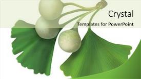  Presentation with ginkgo - PPT theme enhanced with while learning in modern library background and a gray colored foreground