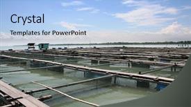  Presentation with fish farm - Amazing PPT theme having offshore ocean open water fish backdrop and a light blue colored foreground