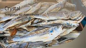  Presentation with black market of sri lanka - Cool new presentation theme with fishy - stockfish at the street market backdrop and a coral colored foreground