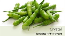  Presentation with indian food - Colorful presentation theme enhanced with rat-tail-radish-edible-seed backdrop and a yellow colored foreground
