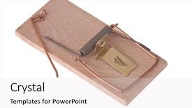  Presentation with white rat - Theme consisting of rat trap - mousetrap on a white background background and a light gray colored foreground