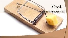  Presentation with rat - Theme featuring rat trap - mousetrap background and a lemonade colored foreground