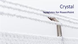  Presentation with winter - Beautiful presentation theme featuring rate weathering - hoarfrost in winter backdrop and a sky blue colored foreground