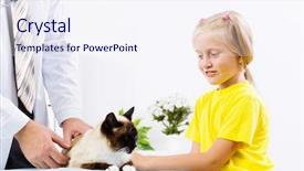  Presentation with cat - Amazing slide set having rating kids - siamese cat lying on table backdrop and a  colored foreground
