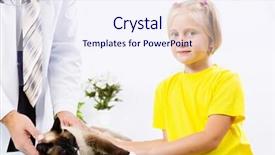  Presentation with cat - Amazing PPT theme having rating kids - siamese cat lying on table backdrop and a  colored foreground