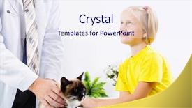  Presentation with cat - Colorful presentation theme enhanced with rating kids - siamese cat lying on table backdrop and a  colored foreground