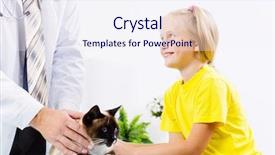  Presentation with rating - Presentation design consisting of rating kids - siamese cat lying on table background and a  colored foreground