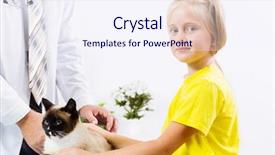  Presentation with rating - PPT layouts consisting of rating kids - siamese cat lying on table background and a  colored foreground