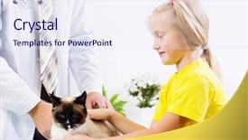  Presentation with cat - Cool new PPT theme with rating kids - siamese cat lying on table backdrop and a  colored foreground