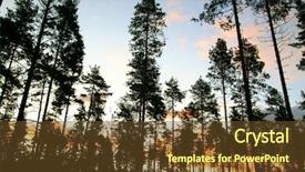  Presentation with rattan furniture - Presentation with rattan furniture - nature background and a tawny brown colored foreground