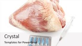  Presentation with tablets - Colorful PPT theme enhanced with raw animal heart with syringe backdrop and a light gray colored foreground