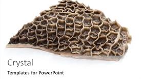  Presentation with stomach - PPT layouts enhanced with raw-beef-honeycomb-tripe-second background and a white colored foreground