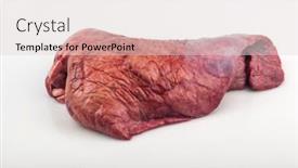  Presentation with lungs - Cool new presentation theme with raw-beef-lungs-on-white backdrop and a lemonade colored foreground