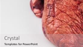  Presentation with lungs - Slides with raw-beef-lungs-on-white background and a light gray colored foreground