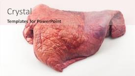  Presentation with lungs - PPT theme having raw-beef-lungs-on-white background and a lemonade colored foreground