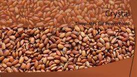  Presentation with bhutanese - Presentation theme featuring raw bhutanese red rice background and a red colored foreground