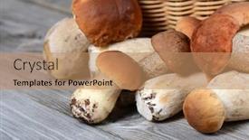  Presentation with passiflora edulis - Amazing slide deck having raw-boletus-edulis backdrop and a coral colored foreground