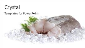  Presentation with catfish - PPT layouts featuring raw catfish fillet with spices background and a white colored foreground
