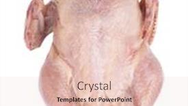 Presentation with chicken - Slide deck having raw-chicken-carcass-isolated background and a lemonade colored foreground