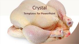  Presentation with broiler - Presentation theme enhanced with raw chicken isolated on white background and a lemonade colored foreground