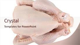  Presentation with chicken - Colorful PPT theme enhanced with raw chicken isolated on white backdrop and a lemonade colored foreground