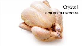 Presentation with broiler - Cool new slides with raw chicken isolated on white backdrop and a sky blue colored foreground