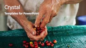 Presentation with coffee beans - Amazing slide deck having arabica - raw coffee beans backdrop and a coral colored foreground
