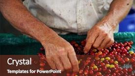  Presentation with coffee beans - Slide deck with raw coffee beans background and a tawny brown colored foreground