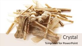  Presentation with dog bone chewing - Theme featuring raw cowhide dog chewing bone background and a coral colored foreground