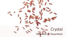  Presentation with brown rice - PPT theme having raw dry brown rice background and a lemonade colored foreground