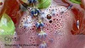  Presentation with alcoholic - Slides featuring raw-fermented-homemade-alcoholic background and a coral colored foreground