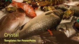  Presentation with ice - Presentation enhanced with raw-fish-and-cancers-refrigerate background and a tawny brown colored foreground