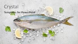 Presentation with seafood - Amazing presentation design having raw-fish-on-ice-seafood backdrop and a light gray colored foreground