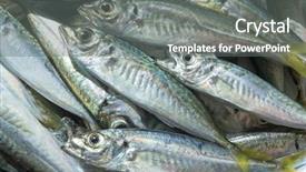  Presentation with fish - Colorful slide set enhanced with raw fish scad over natural backdrop and a  colored foreground