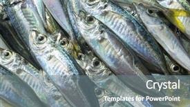  Presentation with natural product cancer - Cool new theme with raw fish scad over natural backdrop and a gray colored foreground