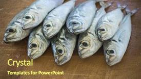  Presentation with fish - Beautiful slide deck featuring raw fish scad over natural backdrop and a tawny brown colored foreground