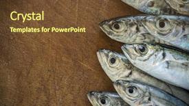  Presentation with fish carton - Colorful slide set enhanced with raw fish scad over natural backdrop and a tawny brown colored foreground