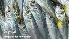  Presentation with fish - Presentation design consisting of raw fish scad over natural background and a gray colored foreground