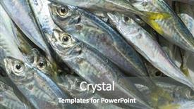  Presentation with natural islami - Amazing presentation design having raw fish scad over natural backdrop and a gray colored foreground