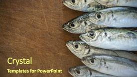  Presentation with fish - Audience pleasing slide deck consisting of raw fish scad over natural backdrop and a tawny brown colored foreground