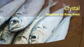  Presentation with fish tutrtle - Slide deck having raw fish scad over natural background and a  colored foreground