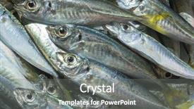  Presentation with natural fibers - PPT layouts with raw fish scad over natural background and a gray colored foreground