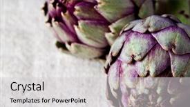  Presentation with textile - Presentation theme enhanced with raw food - two fresh artichokes closeup background and a light gray colored foreground