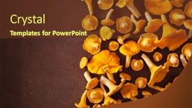  Presentation with mushrooms - Slide deck featuring raw fresh chanterelle mushrooms flat lay on dark background background and a tawny brown colored foreground