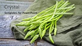  Presentation with asparagus - Slides consisting of raw-green-wild-asparagus-offered background and a mint green colored foreground