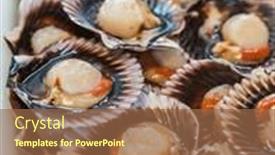  Presentation with seafood - PPT theme featuring raw-lapas-or-true-limpets background and a coral colored foreground