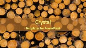  Presentation with downstream processing - Audience pleasing presentation design consisting of raw material - stacked timber logs ready backdrop and a tawny brown colored foreground